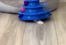 Photo of Интуитивно понятный интерфейс для всех пользователей