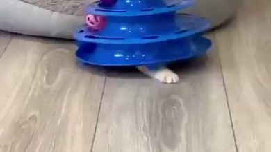 Photo of Интуитивно понятный интерфейс для всех пользователей