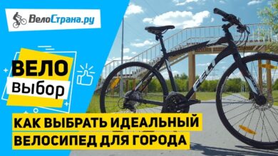 Photo of Особенности городских недорогих велосипедов