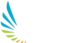 Photo of Профиль компании Intellect Logistics и её ключевые направления