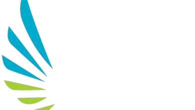 Photo of Профиль компании Intellect Logistics и её ключевые направления