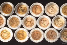 Photo of Первые шаги в хобби: как начать коллекционировать монеты