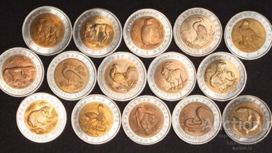 Photo of Первые шаги в хобби: как начать коллекционировать монеты